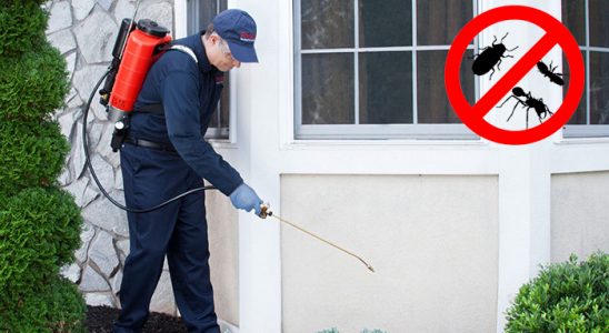 Kocaali Böcek İlaçlama böcek ilaçlama ve haşere kontrolü — ilaclama-tr.com